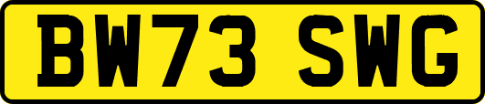 BW73SWG