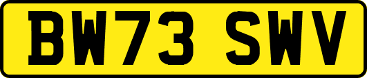 BW73SWV