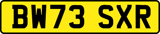 BW73SXR