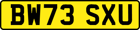 BW73SXU