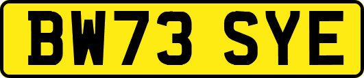 BW73SYE