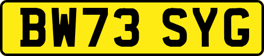 BW73SYG