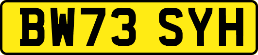 BW73SYH