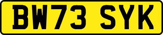 BW73SYK