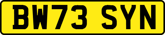 BW73SYN
