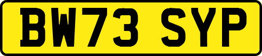 BW73SYP
