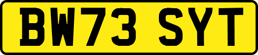 BW73SYT