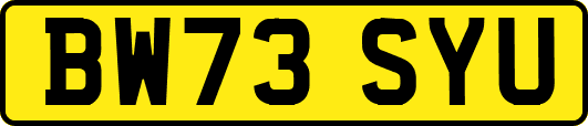 BW73SYU