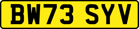 BW73SYV