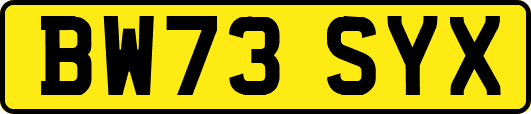 BW73SYX