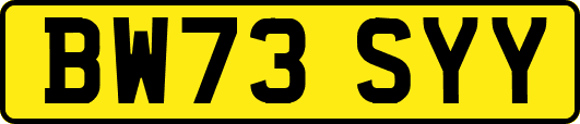 BW73SYY