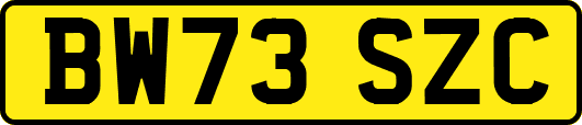 BW73SZC