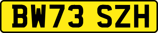 BW73SZH