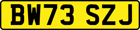BW73SZJ