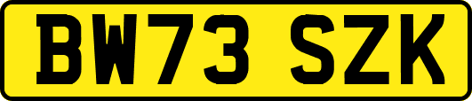 BW73SZK