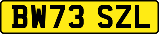 BW73SZL