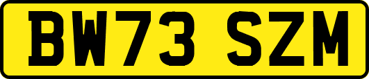 BW73SZM