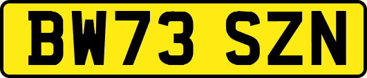 BW73SZN