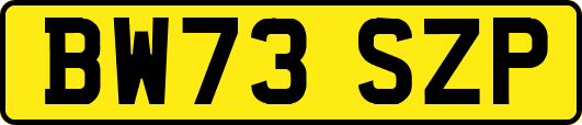 BW73SZP