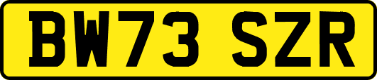 BW73SZR