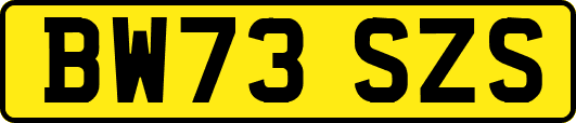 BW73SZS