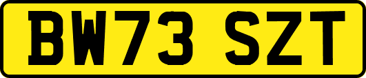 BW73SZT