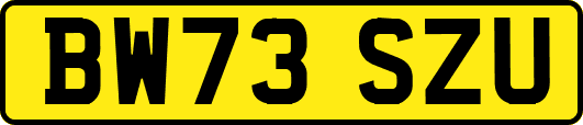 BW73SZU