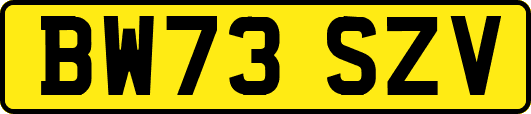 BW73SZV