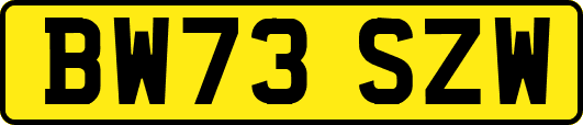 BW73SZW