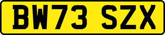 BW73SZX