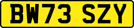 BW73SZY