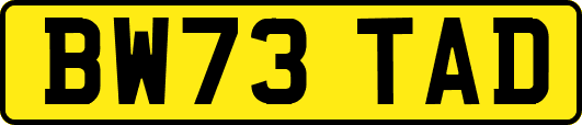 BW73TAD