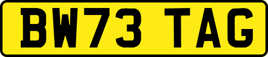 BW73TAG