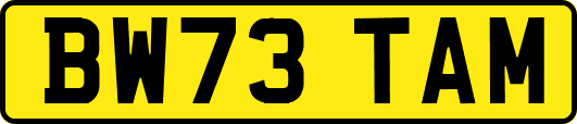 BW73TAM