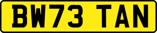BW73TAN