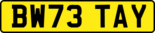 BW73TAY