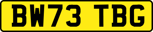 BW73TBG