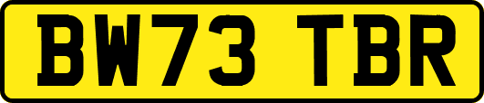 BW73TBR
