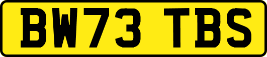BW73TBS