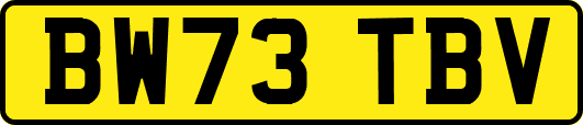 BW73TBV