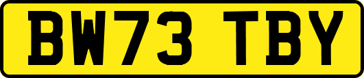 BW73TBY