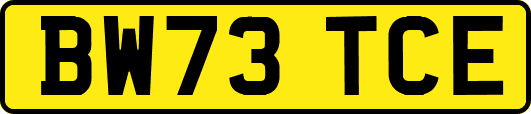 BW73TCE