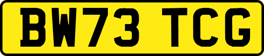 BW73TCG