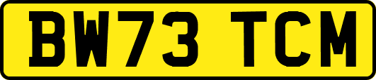 BW73TCM