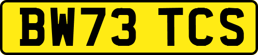 BW73TCS
