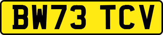 BW73TCV