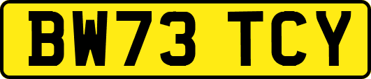 BW73TCY