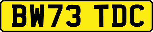 BW73TDC