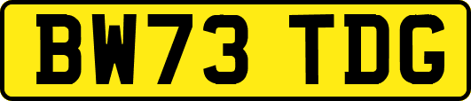BW73TDG