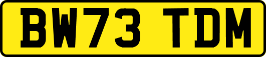 BW73TDM